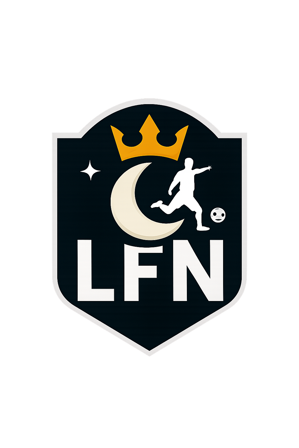 LIGA FUTSAL NOTURNA (LFN)
